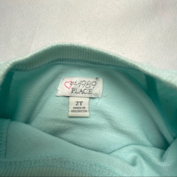 Childrens Place Pale Green Graphic Sweatshirt 2T - Picture 3 of 8